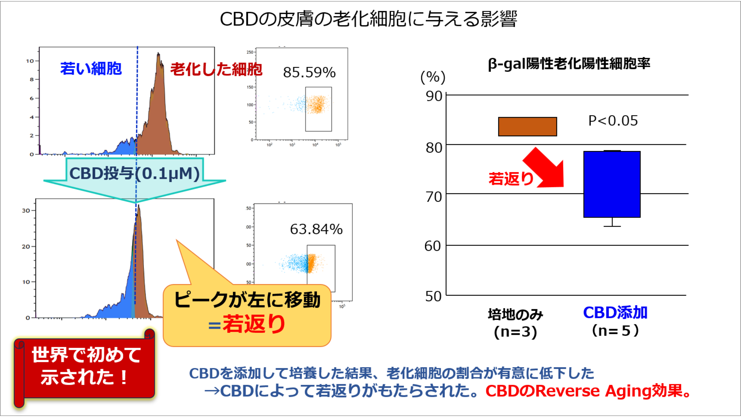 CBDによる皮膚のリバースエイジング（若返り）効果